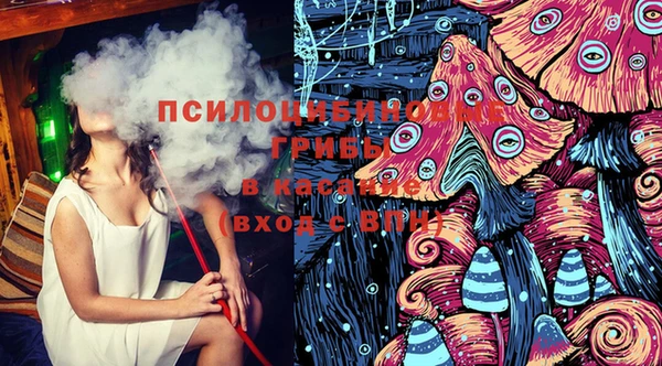 мдпв Арсеньев