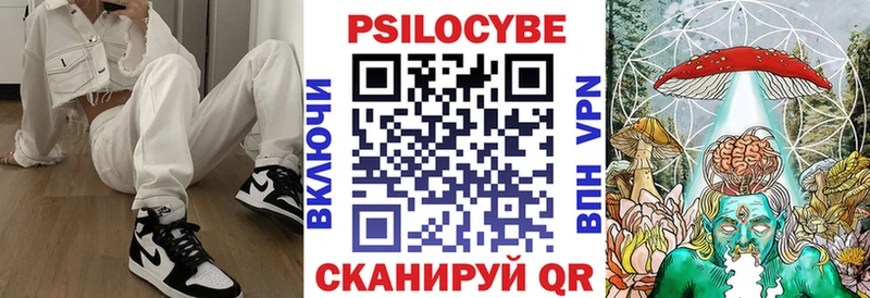 Псилоцибиновые грибы мицелий  Лобня 
